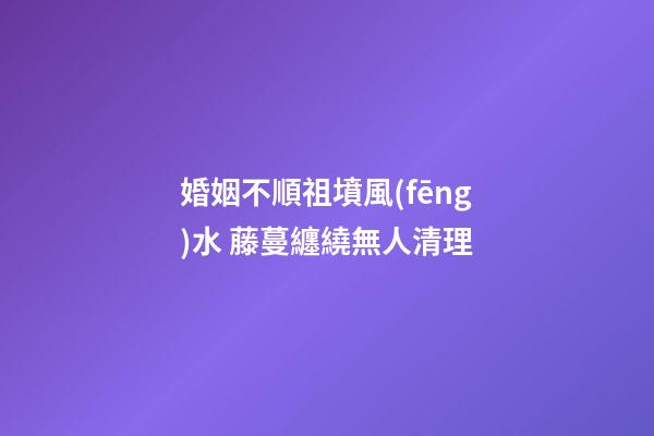 婚姻不順祖墳風(fēng)水 藤蔓纏繞無人清理